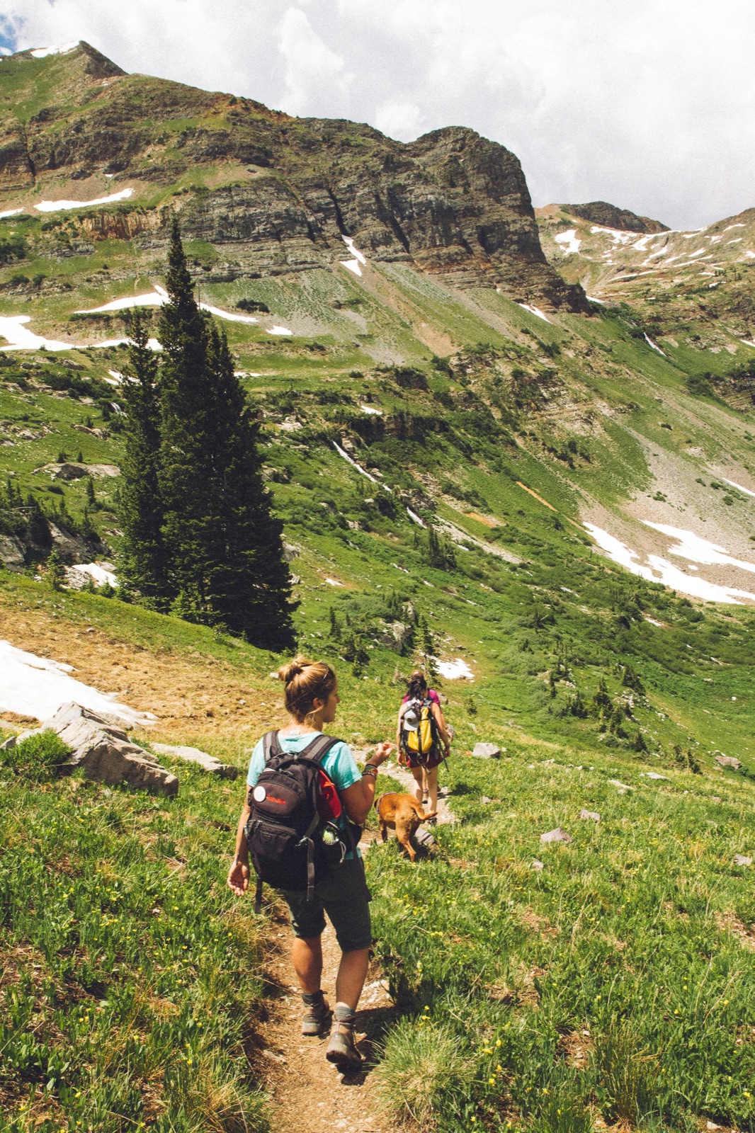 Moving forward — a path through beautiful Colorado